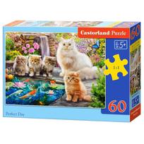 Castorland Perfect Day 066377, 60 det.