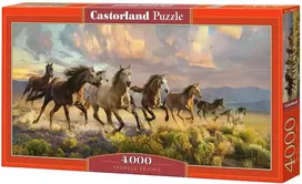 deta - Castorland Art Thunder Prairie 400430, 68 x 138 cm, 4000 det. - 1 nuotrauka