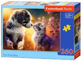Castorland New Friendship 27583, 260 det.