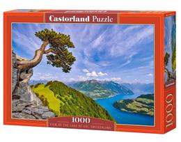 Castorland View of the Lake of Uri, Switzerland C-105311, 1000 det.