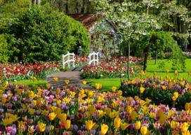 Ravensburger Keukenhof Gardens, 1000 det.