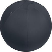 kamuolys 65 - Leitz Ergo aktyvaus sėdėjimo kamuolys 65 cm, Tamsiai pilka (Dark Grey) - 1 nuotrauka