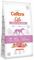 sunu maistas - Calibra Dog Life Junior Large Breed Lamb 12 kg - 1 nuotrauka