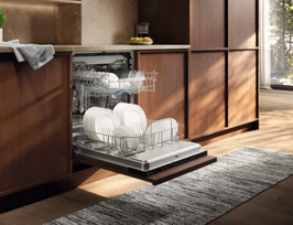 indaplove electrolux - Electrolux E62LB200T - 8 nuotrauka