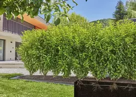 laistymo sistema gardena micro drip - Laistymo sistema Gardena Micro Drip System 13500-20, 25 m, juoda (Black) - 4 nuotrauka