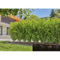 laistymo sistema gardena micro drip - Gardena Micro-Drip System 13501-20, 50 m - 5 nuotrauka