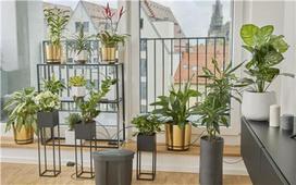 20 l kibirai - Vandens talpykla Gardena AquaBloom Solar Irrigation 10,5L - 3 nuotrauka