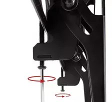 vesa mount - Beurer BG39 - 3 nuotrauka