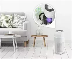 homedics - Homedics TotalClean PetPlus 5in1 AP-PET35WT-EU - 5 nuotrauka