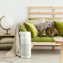 homedics - Homedics TotalClean PetPlus 5in1 AP-PET35WT-EU - 7 nuotrauka
