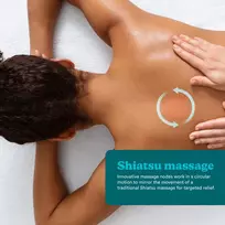 homedics - Homedics SP-50H Shiatsu pagalvė su šiluma - 5 nuotrauka