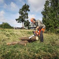 husqvarna pjuklasi -  HUSQVARNA 445 eII H25 - 10 nuotrauka