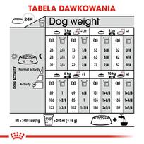 royal canin mini adulto 8 - ROYAL CANIN CCN Mini Sterilised sausas maistas suaugusių mažų, sterilizuotų veislių 8 kg šunims + Royal Canin tašė - 3 nuotrauka