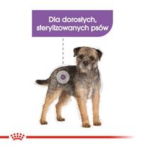 royal canin mini adulto 8 - ROYAL CANIN CCN Mini Sterilised sausas maistas suaugusių mažų, sterilizuotų veislių 8 kg šunims + Royal Canin tašė - 6 nuotrauka