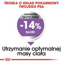 royal canin mini adulto 8 - ROYAL CANIN CCN Mini Sterilised sausas maistas suaugusių mažų, sterilizuotų veislių 8 kg šunims + Royal Canin tašė - 7 nuotrauka