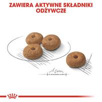 royal canin mini adulto 8 - ROYAL CANIN CCN Mini Sterilised sausas maistas suaugusių mažų, sterilizuotų veislių 8 kg šunims + Royal Canin tašė - 9 nuotrauka