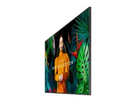 3840x2160 monitoriai - Samsung LH43QBCEBGCXEN - 4 nuotrauka