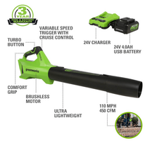lapu pustuvas - Greenworks BL24L411-01 - 15 nuotrauka