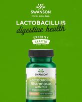swanson probiotikai 60 - SWANSON Lactobacillus Rhamnosus su FOS, 60 kapsulių - 2 nuotrauka