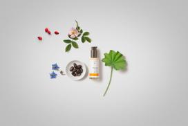 lotoso seklos - Kūno losjonas Dr. Hauschka Soothing Day Lotion, 50 ml - 3 nuotrauka