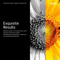 xerox drum - Drum Xerox juodas | 30000pgs | Phaser 3330; WC 3335 / 3345 - Atgauk 2% - 4 nuotrauka