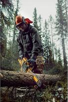 grandinins akumuliatorinis pjuklas - DeWalt DCMCS575X1-QW grandininis pjūklas 54V 50cm - 2 nuotrauka