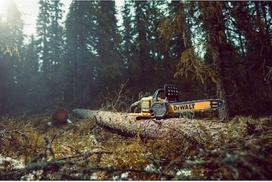 grandinins akumuliatorinis pjuklas - DeWalt DCMCS575X1-QW grandininis pjūklas 54V 50cm - 5 nuotrauka