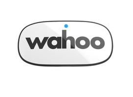 sirdies ritmo ant bluetooth - Wahoo TRACKR HR Bluetooth/ANT+ (WFBTHR05W) - 2 nuotrauka