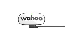 sirdies ritmo ant bluetooth - Wahoo TRACKR HR Bluetooth/ANT+ (WFBTHR05W) - 3 nuotrauka