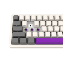 usuotis - LORGAR KBP70MW, Wireless 65% Mechanical Gaming Keyboard Pro, Beige, EN layout | LRG-KBP70MW-RT-US - 4 nuotrauka