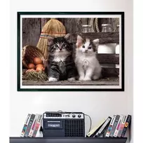 clementoni puzzle 1000 - Clementoni Compact Lovy Kittens 39943, 50 x 70 cm, 1000 det. - 2 nuotrauka