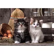 clementoni puzzle 1000 - Clementoni Compact Lovy Kittens 39943, 50 x 70 cm, 1000 det. - 3 nuotrauka