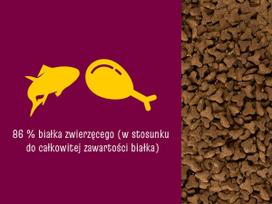 pasaras katems - Josera Cat Classic 18 kg - 4 nuotrauka