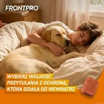 nuo blusu sunims - FRONTPRO tabletės nuo blusų ir erkių šunims (>25-50 kg) - 3x 136mg - 2 nuotrauka