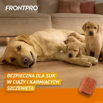 nuo blusu sunims - FRONTPRO tabletės nuo blusų ir erkių šunims (>25-50 kg) - 3x 136mg - 4 nuotrauka