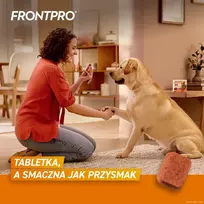 nuo blusu sunims - FRONTPRO tabletės nuo blusų ir erkių šunims (>25-50 kg) - 3x 136mg - 6 nuotrauka