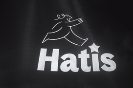 kopecios 3 laipteliai - Batutas Hatis, 305 cm, su tinklu, su kopėčiomis - 2 nuotrauka