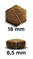 specific sunims - Eukanuba Adult Breed Specific Rottweiler 12 kg - 3 nuotrauka