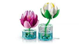 lego konstruktoris - Lego Botanicals Vandens lelijos 11511 - 5 nuotrauka