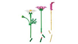 bigbox lego - LEGO Botanicals Kosmėjos 11514 - 6 nuotrauka