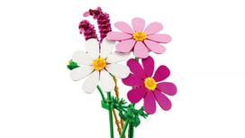 bigbox lego - LEGO Botanicals Kosmėjos 11514 - 7 nuotrauka