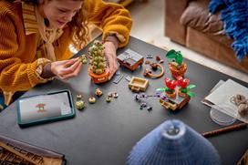 herbology - LEGO Harry Potter Hogvartso herbalogijos augalai 76474 - 5 nuotrauka