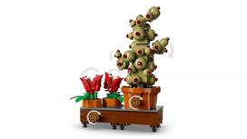 herbology - LEGO Harry Potter Hogvartso herbalogijos augalai 76474 - 7 nuotrauka