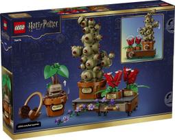herbology - LEGO Harry Potter Hogvartso herbalogijos augalai 76474 - 11 nuotrauka