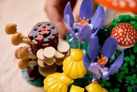 lego konstruktoris - Lego Botanicals Miško grybai 11505 - 2 nuotrauka