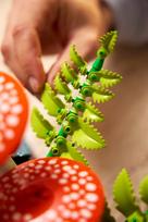 lego konstruktoris - Lego Botanicals Miško grybai 11505 - 4 nuotrauka