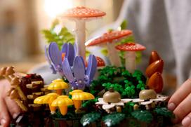 lego konstruktoris - Lego Botanicals Miško grybai 11505 - 5 nuotrauka