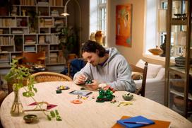 lego konstruktoris - Lego Botanicals Miško grybai 11505 - 6 nuotrauka