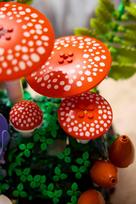 lego konstruktoris - Lego Botanicals Miško grybai 11505 - 8 nuotrauka