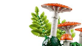 lego konstruktoris - Lego Botanicals Miško grybai 11505 - 9 nuotrauka